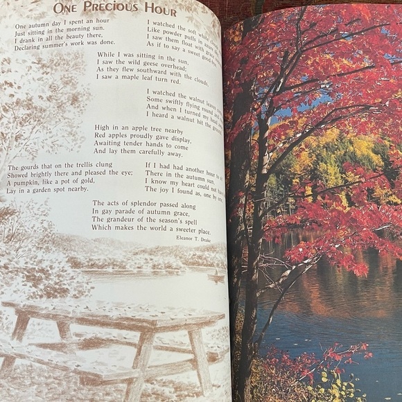 Three Autumn Ideals Magazines - Picture 3 of 8